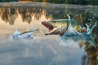 Στο Fish Rain, πιάσε το μεγαλύτερο ψάρι!