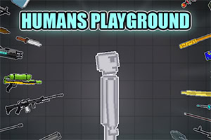 Experiment in a physics playground