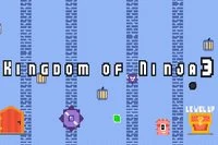 Γεια από το παιχνίδι Kingdom of Ninja 3 στην 3η