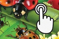 Δοκίμασε την ευελιξία σου!