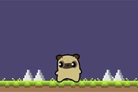 Η περιπέτεια του Pug Love ξεκινά σήμερα!