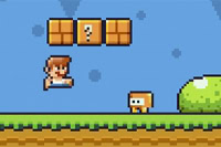 Το Super Ninja Plumber είναι ένα action-adventure παιχνίδι