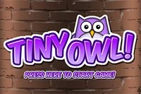 Απόφυγε Νυχτερίδες και Νάρκες στο Tiny Owl
